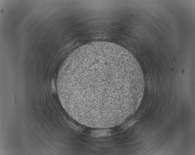 X0000067500089200605051814