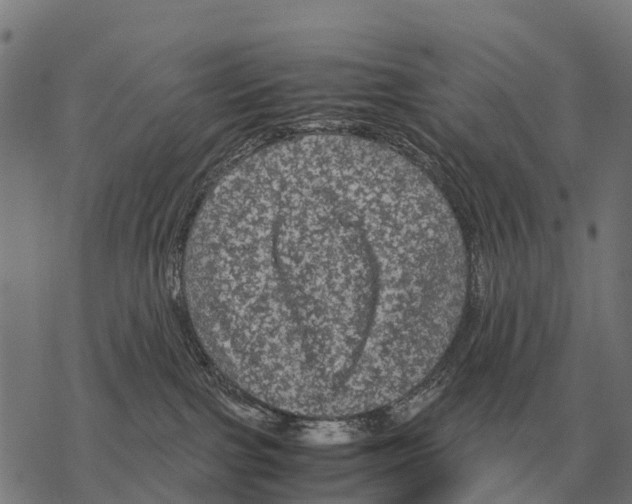X0000067500091200605051814