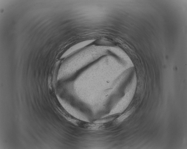 X0000067500096200605051814