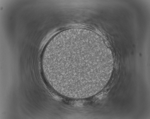 X0000067500103200605051813