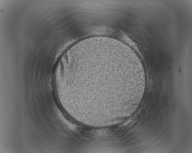 X0000067500106200605051813