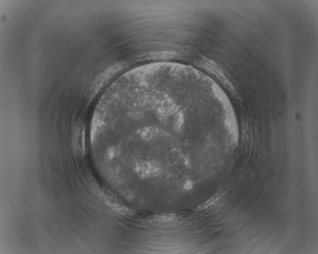 X0000067500110200605051813