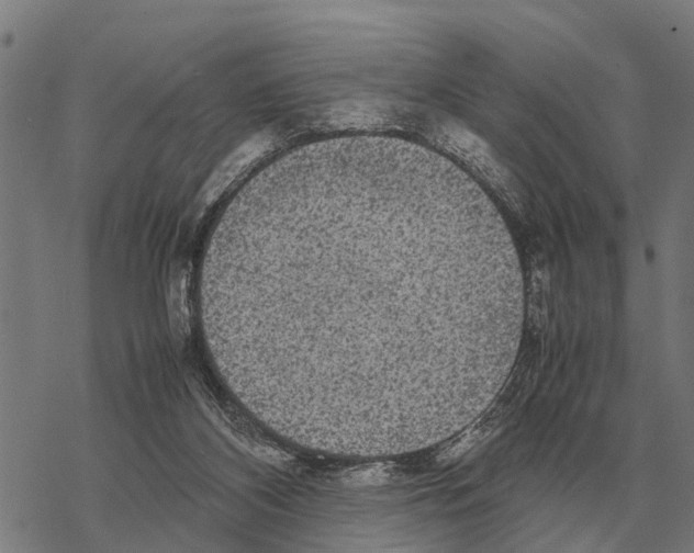 X0000067500116200605051813