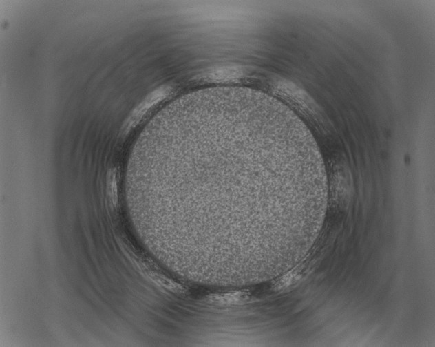 X0000067500120200605051813
