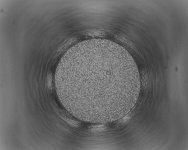X0000067500132200605051813
