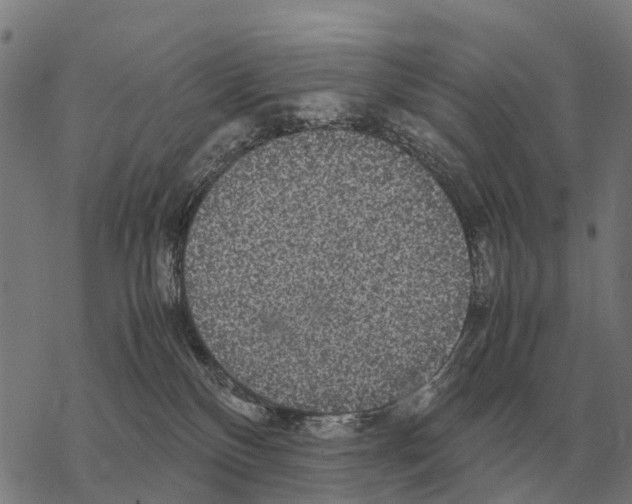 X0000067500136200605051813