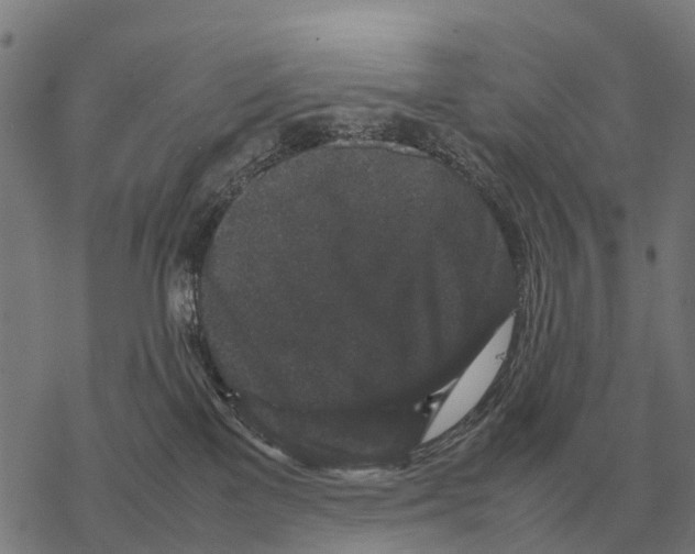 X0000067500137200605051813