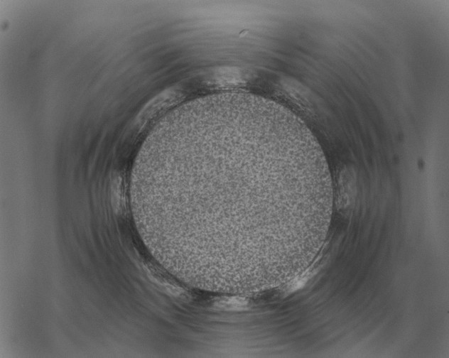 X0000067500140200605051813