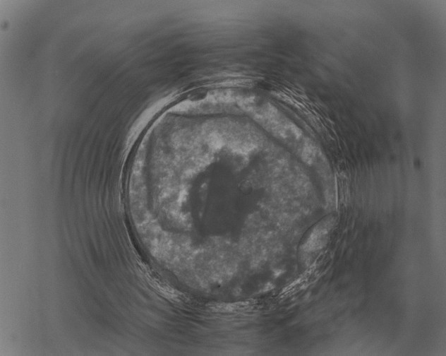 X0000067500147200605051812