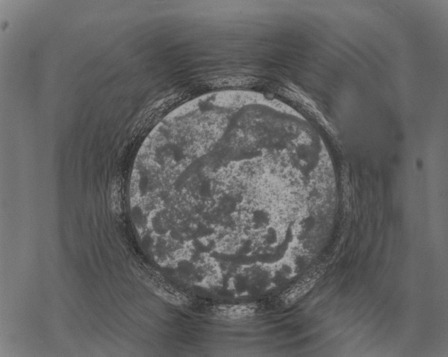 X0000067500161200605051812