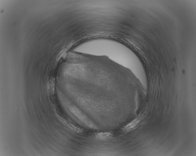 X0000067500168200605051812