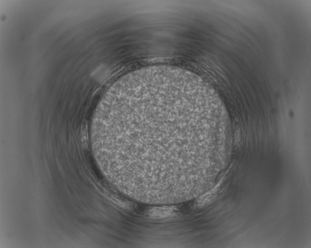 X0000067500179200605051812