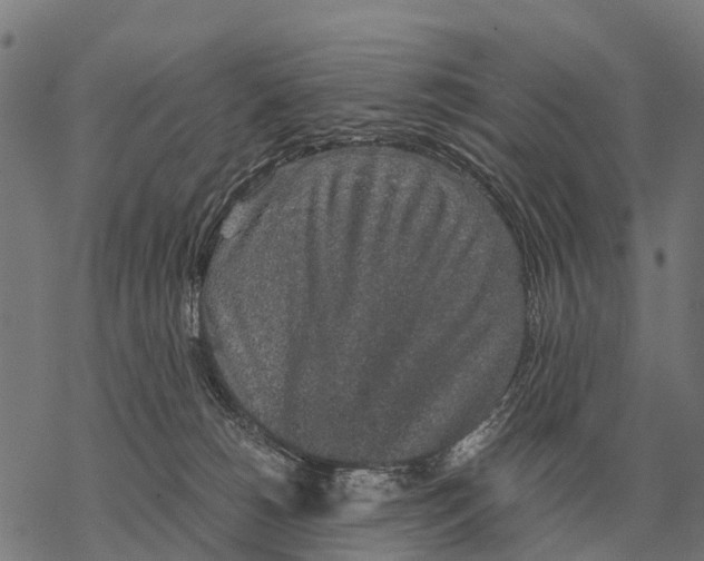 X0000067500180200605051812