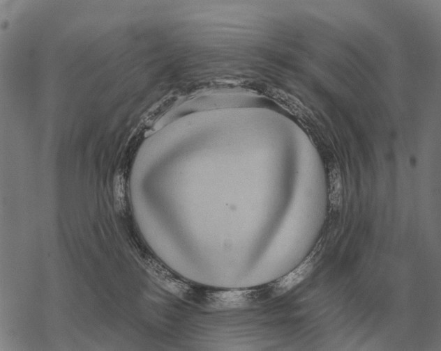 X0000067500184200605051812