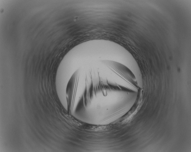 X0000067500186200605051812