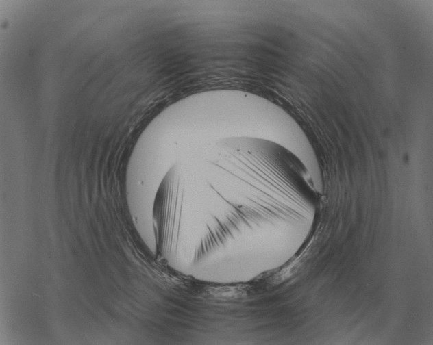 X0000067500187200605051812