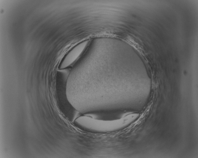 X0000067500193200605051812