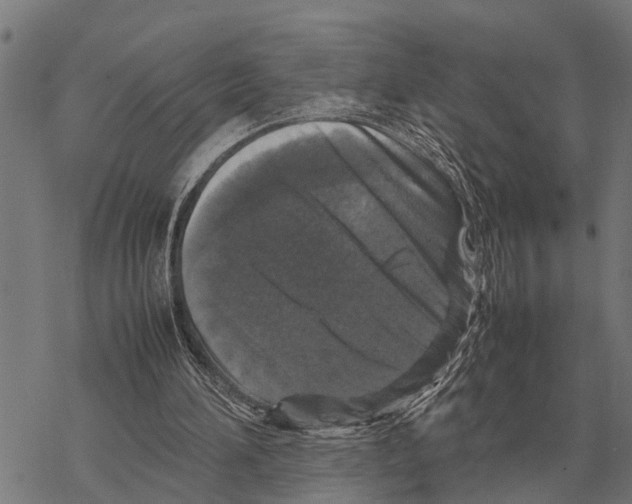 X0000067500196200605051812