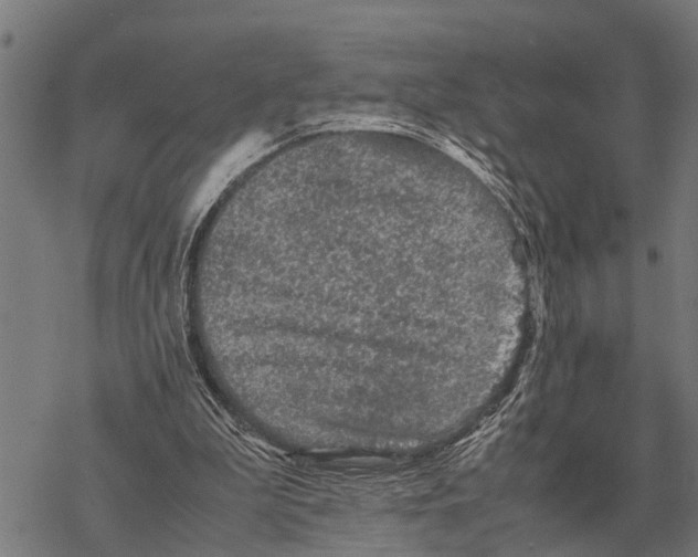X0000067500199200605051812