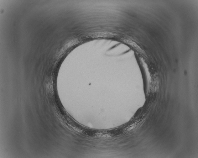 X0000067500207200605051812