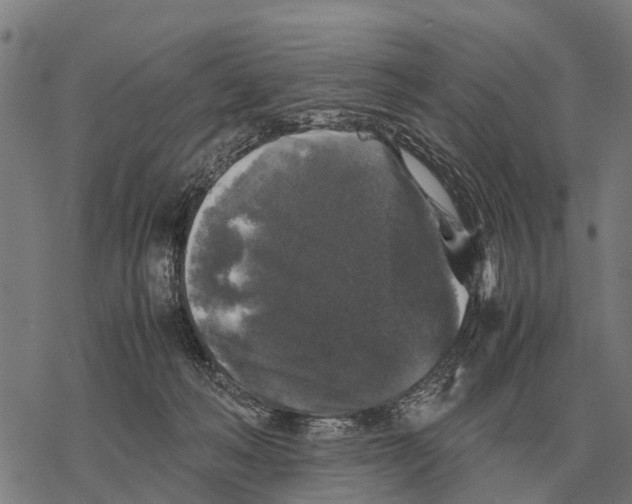 X0000067500222200605051811