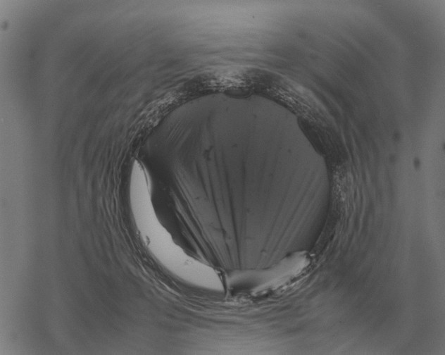 X0000067500223200605051811