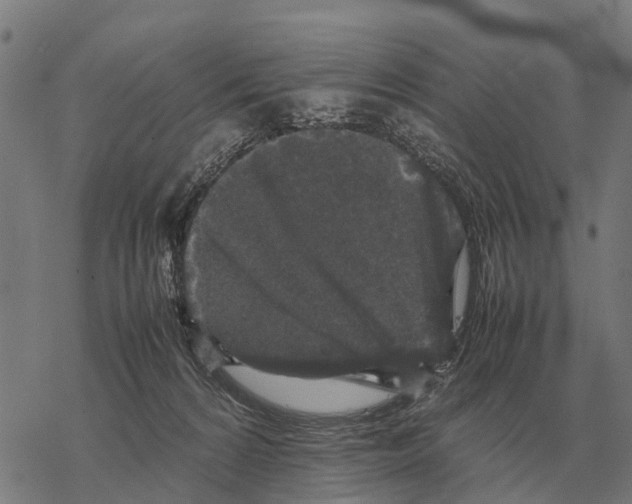 X0000067500224200605051811