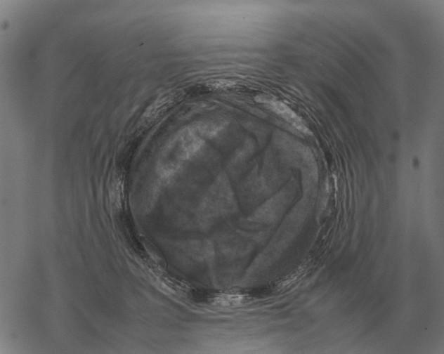 X0000067500227200605051811