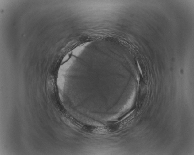 X0000067500231200605051811