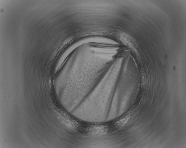 X0000067500260200605051811