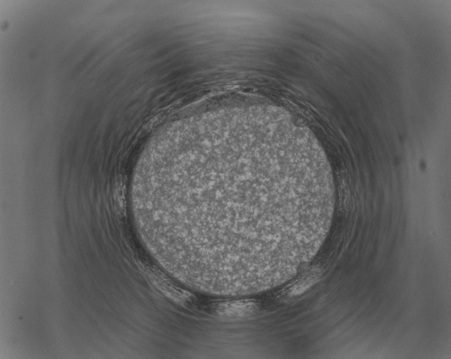X0000067500274200605051811