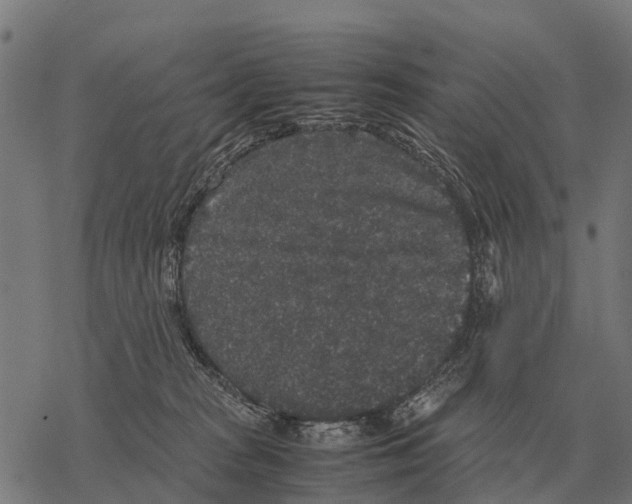 X0000067500277200605051811