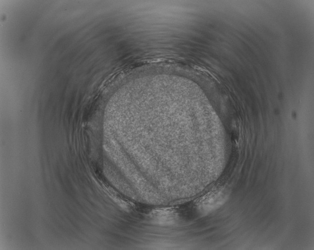 X0000067500280200605051811