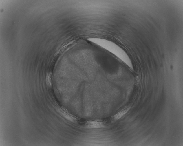 X0000067500286200605051811