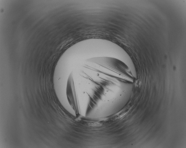 X0000067500287200605051811