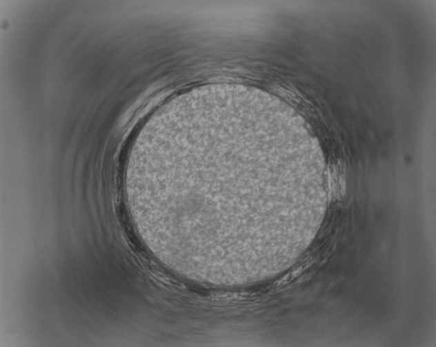 X0000067500291200605051810