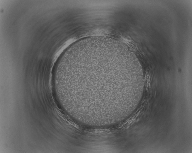 X0000067500292200605051810