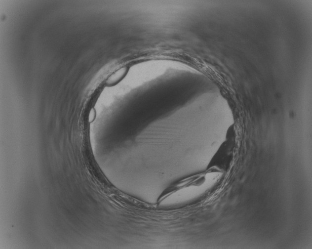 X0000067500295200605051810