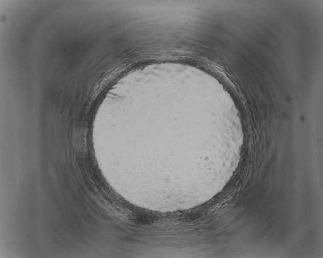 X0000067500299200605051810