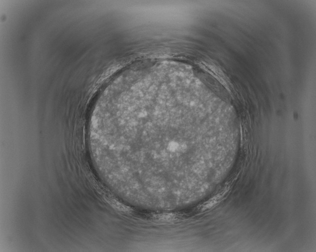 X0000067500301200605051810