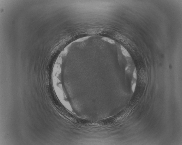 X0000067500303200605051810