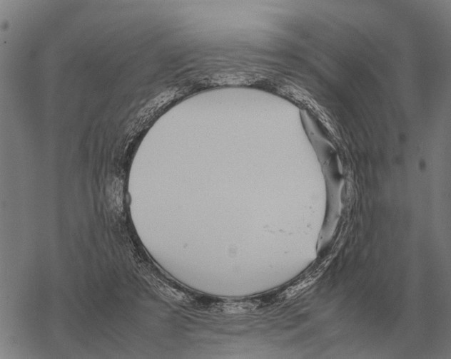 X0000067500305200605051810