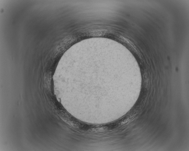 X0000067500307200605051810