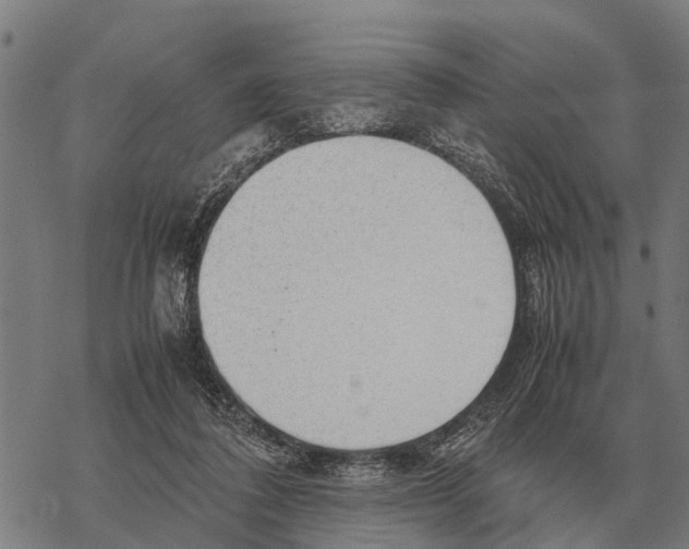 X0000067500308200605051810