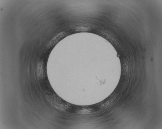 X0000067500312200605051810