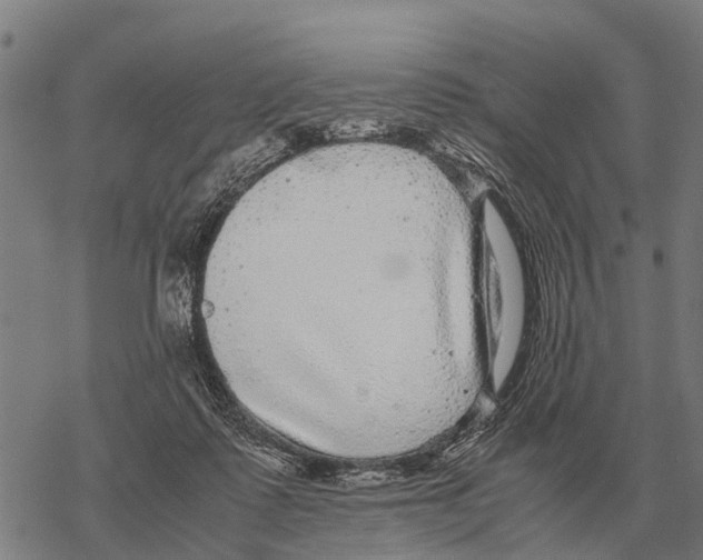 X0000067500315200605051810