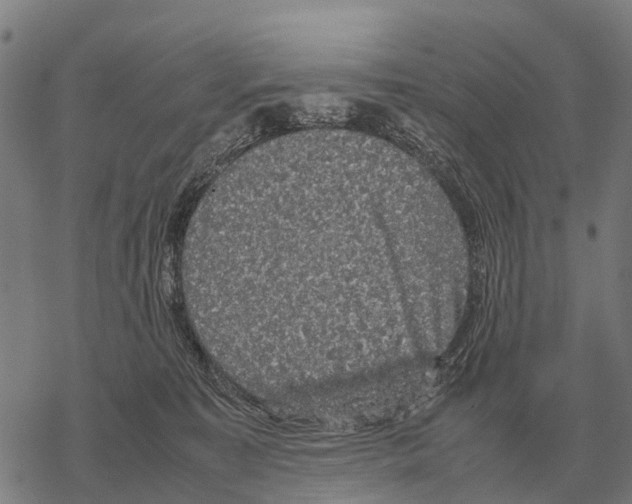 X0000067500323200605051810