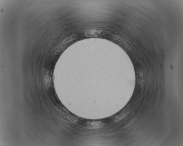 X0000067500324200605051810