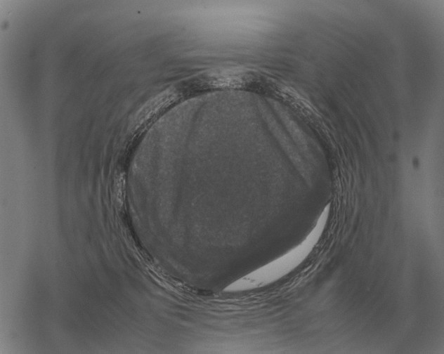 X0000067500325200605051810