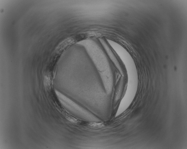 X0000067500333200605051809